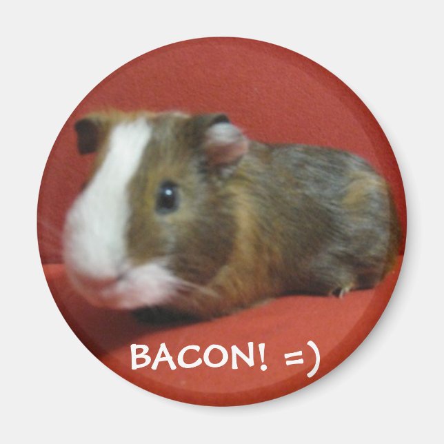 Íman Bacon, BACON! =) (Frente)