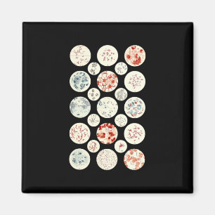 Íman bactéria engraçada microbiologia bactéria ciência