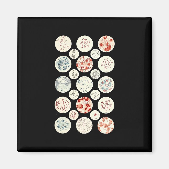 Íman bactéria engraçada microbiologia bactéria ciência  (Frente)