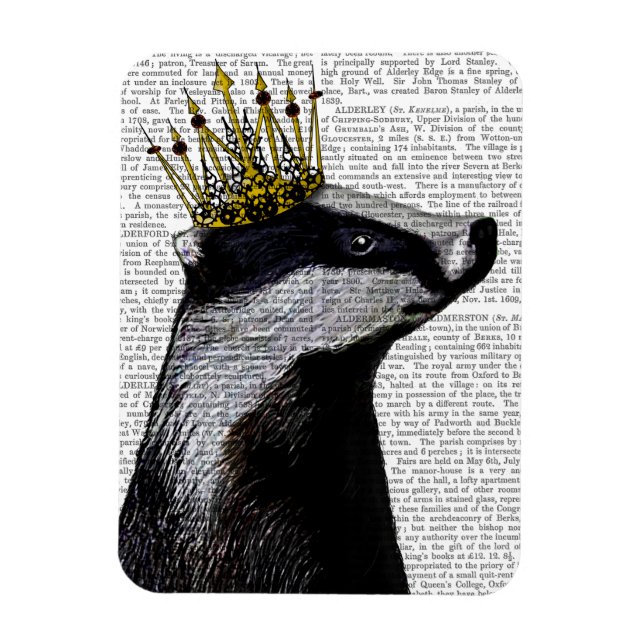 Íman Badger King (Vertical)