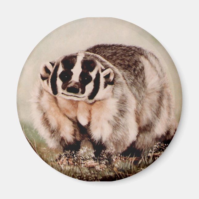 Íman Badger na névoa (Frente)