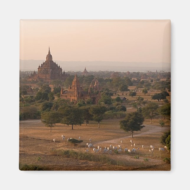 Íman Bagan no Dusk Magnet (Frente)