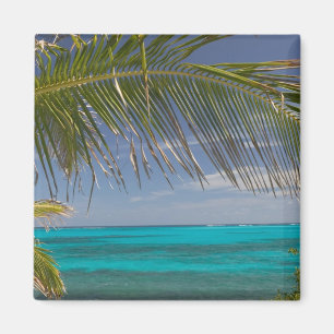 Íman BAHAMAS, Abacos, Loyalist Cays, Man O'War Cay: