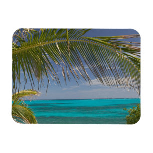 Íman BAHAMAS, Abacos, Loyalist Cays, Man O'War Cay: