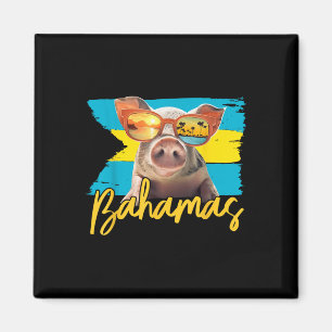 Íman Bahamas Nadando Porcos Caribe Praia Trilhos Verão