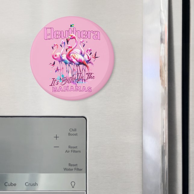 Íman Bahamas Souvenir Gift : Eleuthera Bahamas Flamingo (In Situ (Fridge))