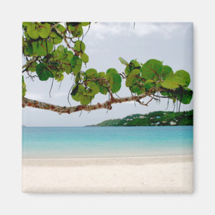 Íman Baía de Magens, St Thomas ímã do quadrado de 2