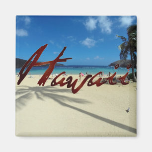 Íman Baía Oahu Havaí de Hanauma