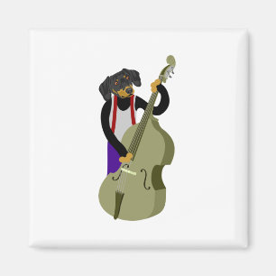 Íman Baixista do jazz do Dachshund