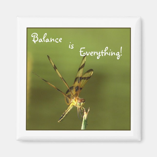 Íman Balanceamento de Dragonfly Magnet 2 (Frente)