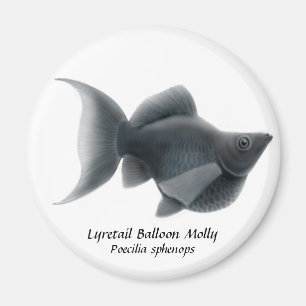 Íman Balão Molly de Lyretail