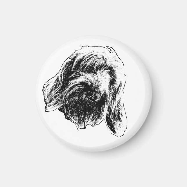 Íman Balcão Quente Spinone (Frente)