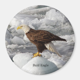 Íman Bald Eagle
