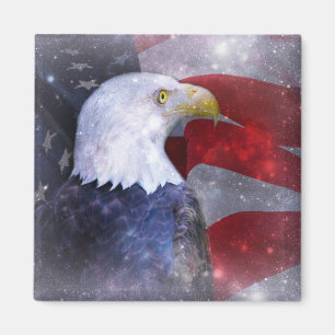 Íman Bald Eagle