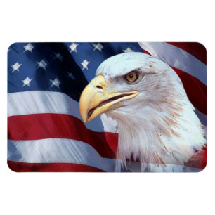 Íman bald Eagle é a bandeira americana quarta de julho