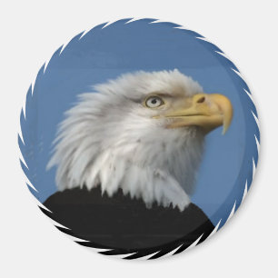 ÍMAN BALD EAGLE - MAGNET