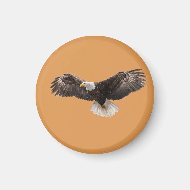 Íman  bald eagle pin , commonly sold as  (Frente)