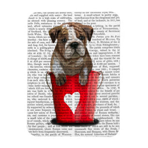 Íman Balde Do Amor Vermelho