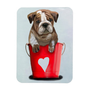 Íman Balde Do Amor Vermelho 2