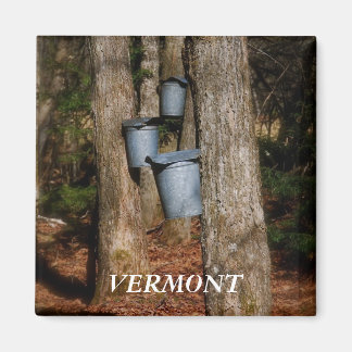 Íman Baldes Vermont Sap