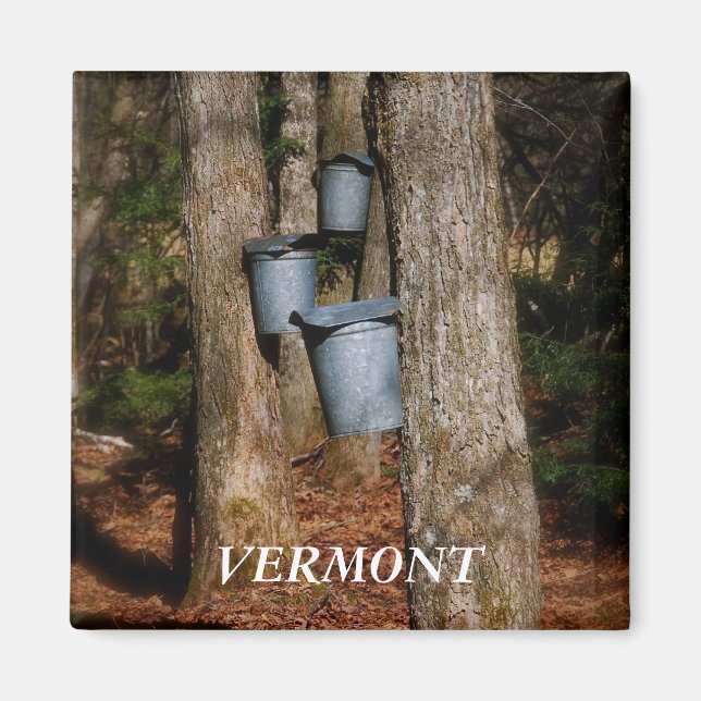 Íman Baldes Vermont Sap (Frente)