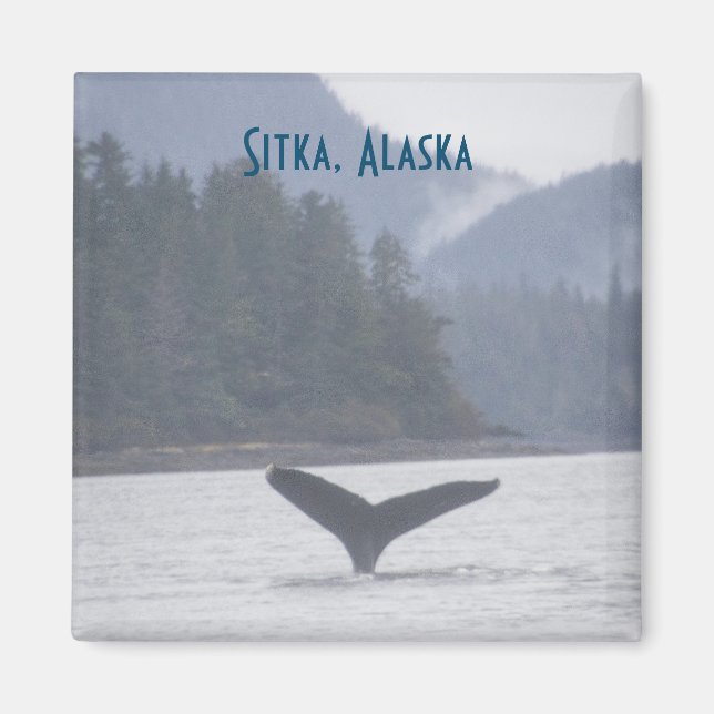 Íman Baleia - Cauda Sitka Alaska Magnet (Frente)