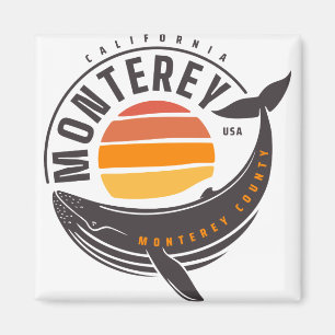 Íman Baleia da Califórnia em Monterey