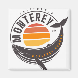 Íman Baleia da Califórnia em Monterey