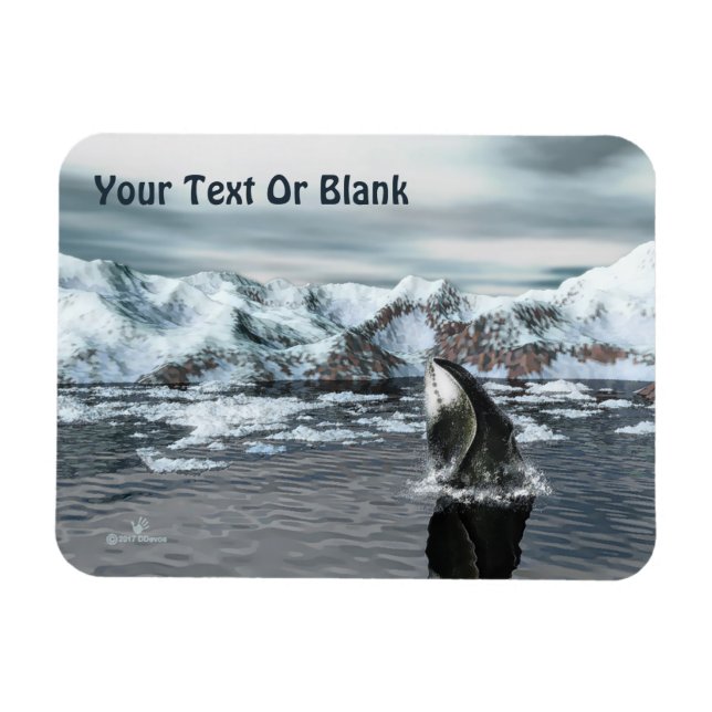 Íman Baleia-de-cabeça (Horizontal)