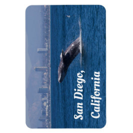 Íman Baleia de Time San Diego, AC