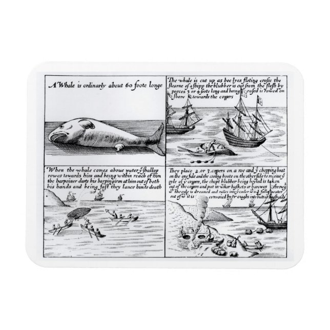 Íman Baleia em Spitzbergen em 1611 (gravura) (b/w ph (Horizontal)