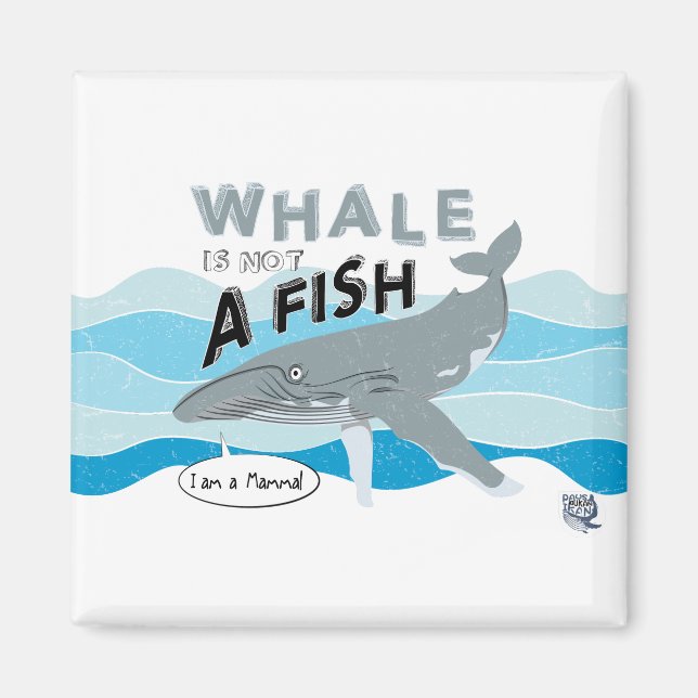 Íman Baleia não é um peixe (Frente)
