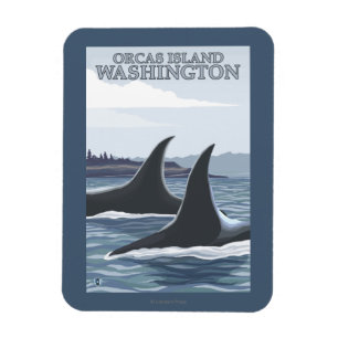 Íman Baleias #1 da orca - orcas ilha, Washington
