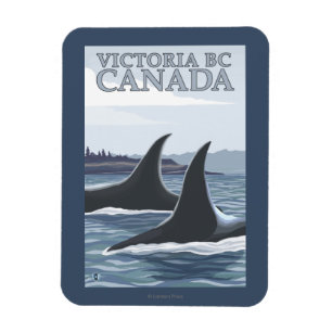 Íman Baleias #1 da orca - Victoria, BC Canadá