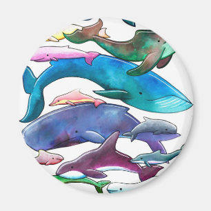 Íman Baleias, golfinhos & toninhas