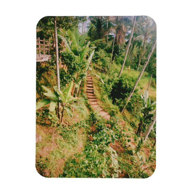 Íman Bali, floresta tropical (Vertical)