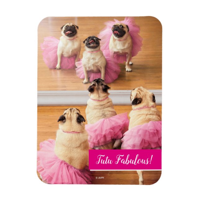 Íman Ballerina Pugs Em Tutus (Vertical)