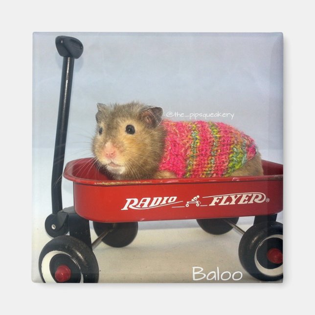 Íman Baloo em seu Vagão Vermelho (Frente)