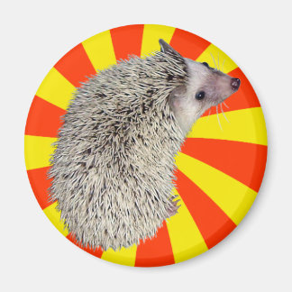 Íman BAM! Hedgehog Magnet 2