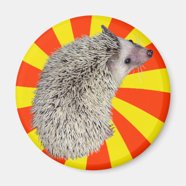 Íman BAM! Hedgehog Magnet 2 (Frente)