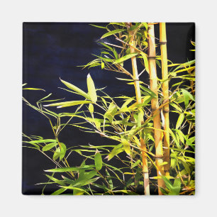Íman Bambu Foliage Arte Tropical Em Preto