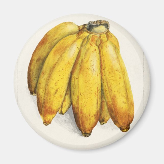 Íman Banana (Frente)