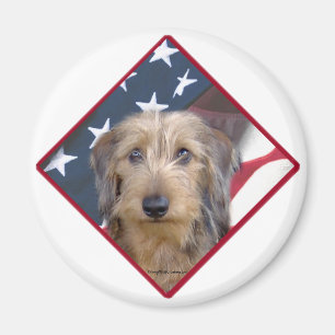 Íman Bandeira 2 do Dachshund