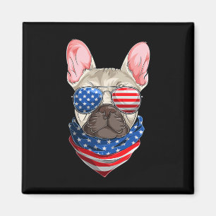 Íman Bandeira Americana