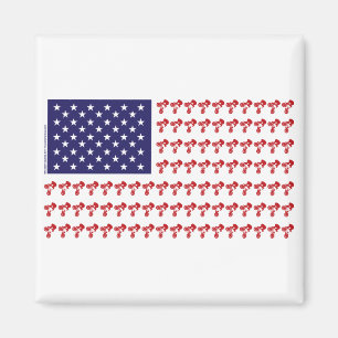 Íman Bandeira Americana BMX Patriótica