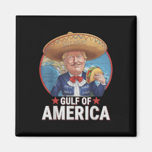 Íman Bandeira Americana Do Golfo De Eua No Leste De 202