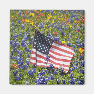 Íman Bandeira americana em campo de Blue Bonnets,