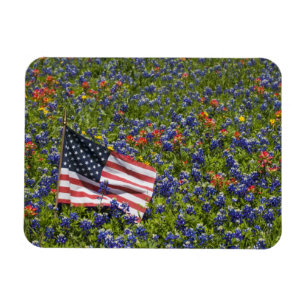 Íman Bandeira Americana em campo de Bonés Azuis, 2