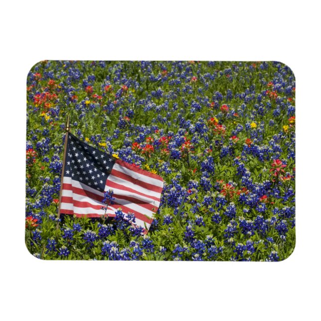 Íman Bandeira Americana em campo de Bonés Azuis, 2 (Horizontal)