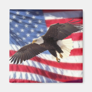Íman Bandeira americana & ímã de Eagle